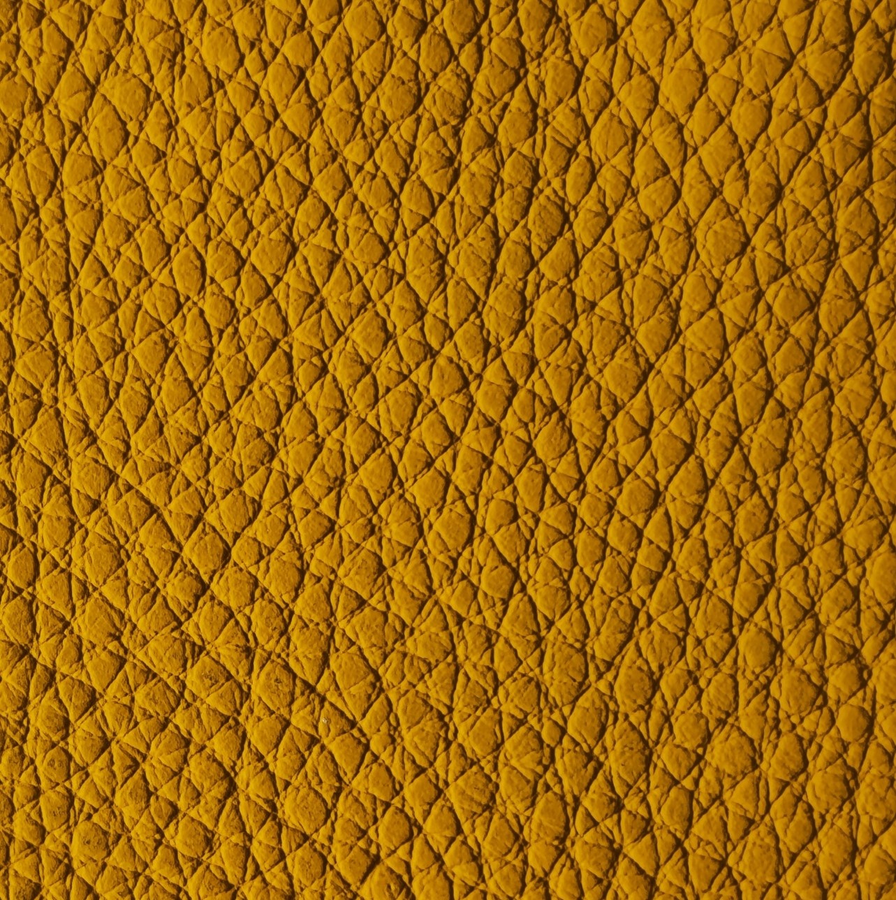 Sari